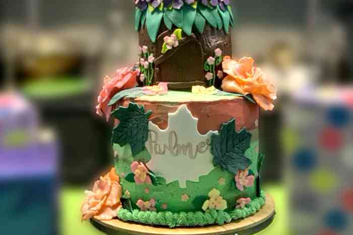 Fairy Cake